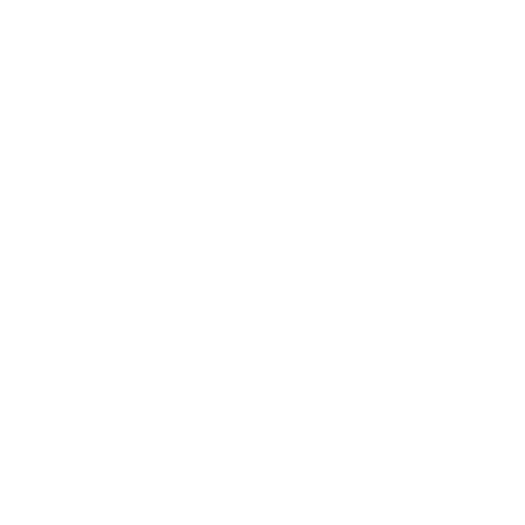Hog City RV